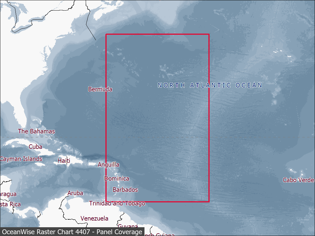 Panel coverage map for UKHO Raster Chart 4407