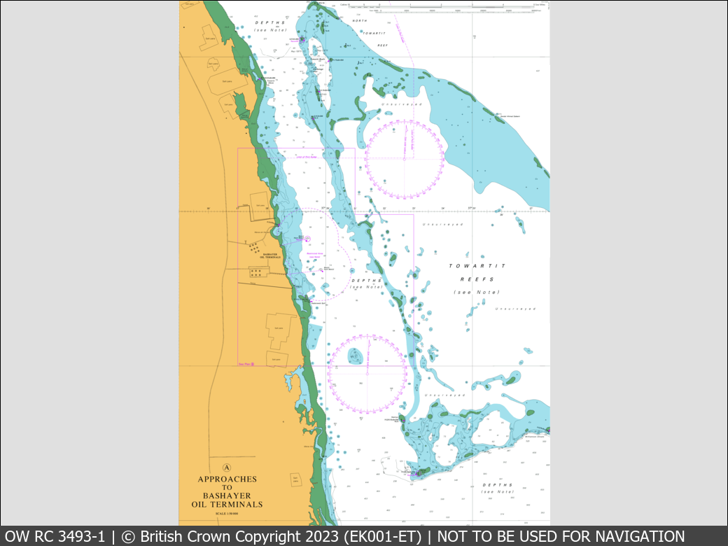 UKHO Raster Chart 3493