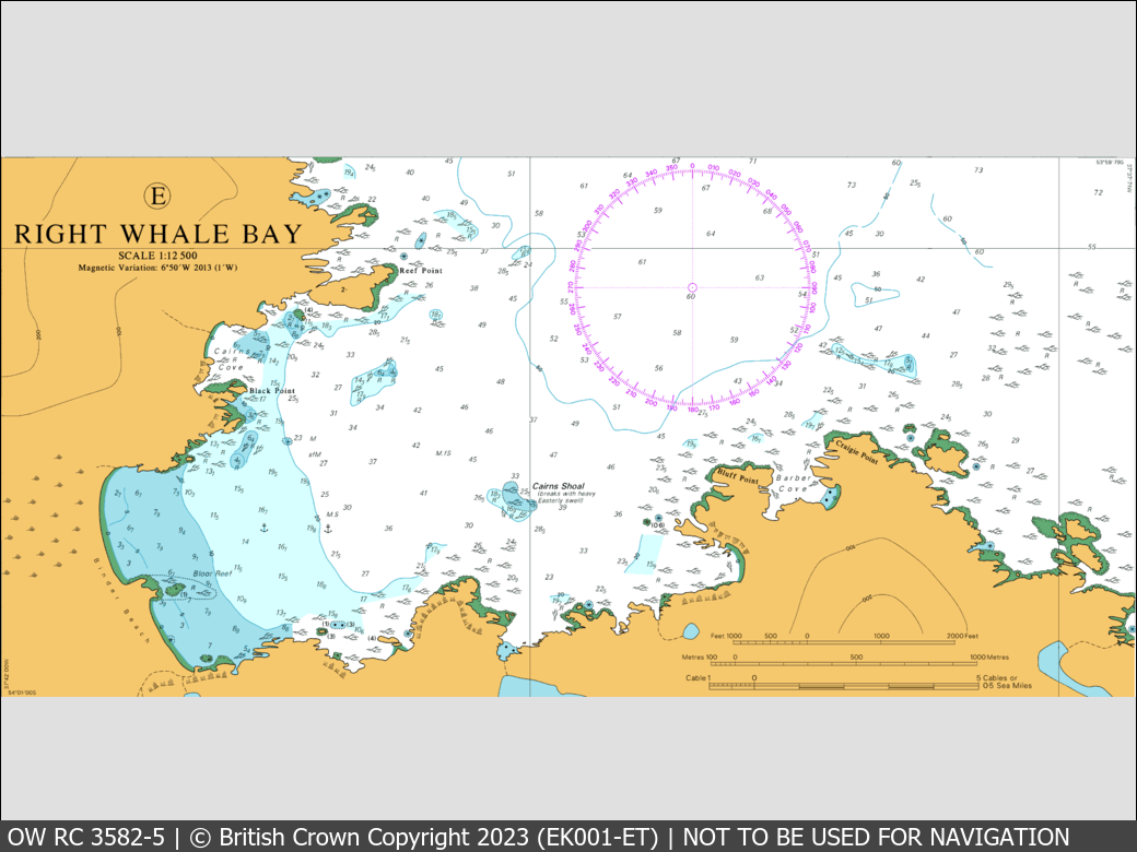 OceanWise Raster Chart 3582 panels